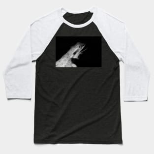 leguan, Reptilien black and white Baseball T-Shirt